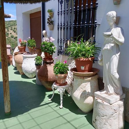 Casa Paco Konuk evi El Bosque Dış mekan fotoğraf
