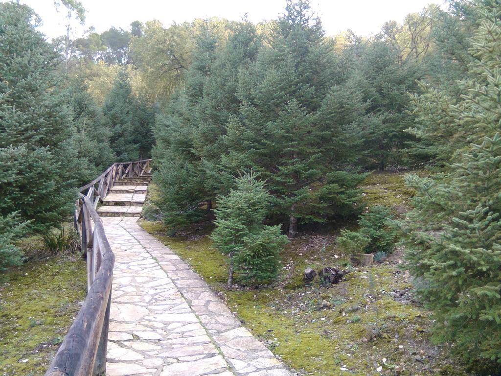 Casa Paco Konuk evi El Bosque Dış mekan fotoğraf